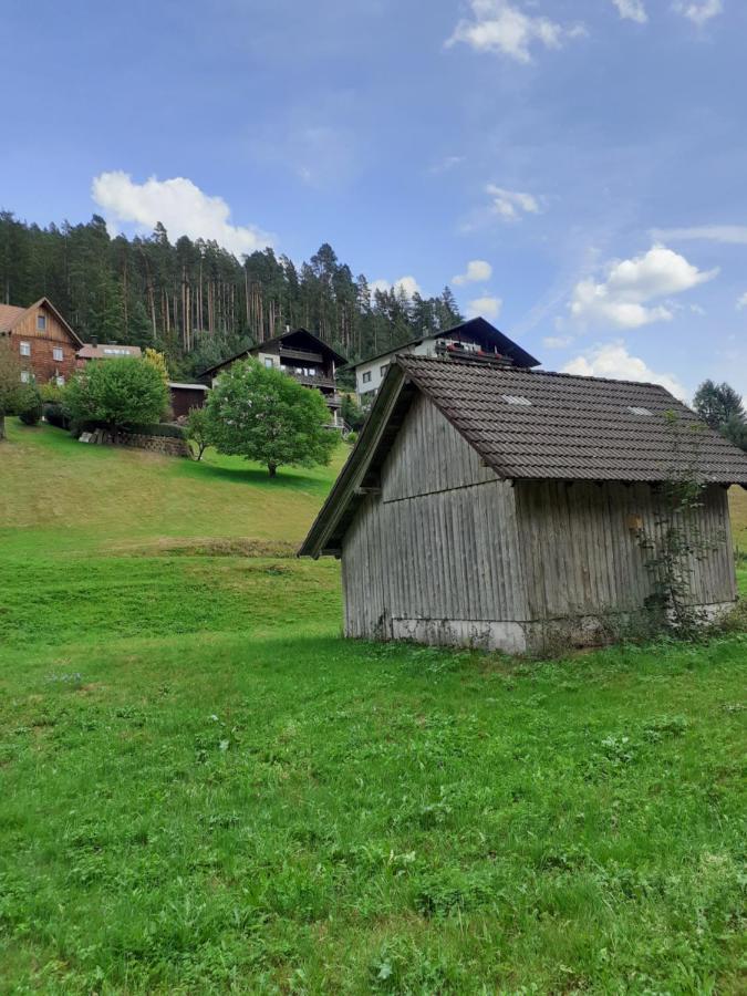Ferienwohnung Tonbachtal Baiersbronn Exterior photo